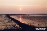 Abendstimmung im Wattenmeer vor Neuharlingersiel