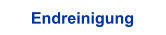 Endreinigung